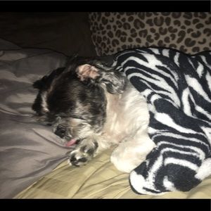 Meet your Posher, Bridget